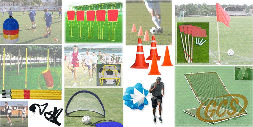 The Best Sports