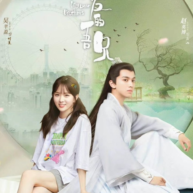 [จีนพากย์ไทย] พี่ชายสุดที่รัก My Dear Brothers DVD 5 แผ่น