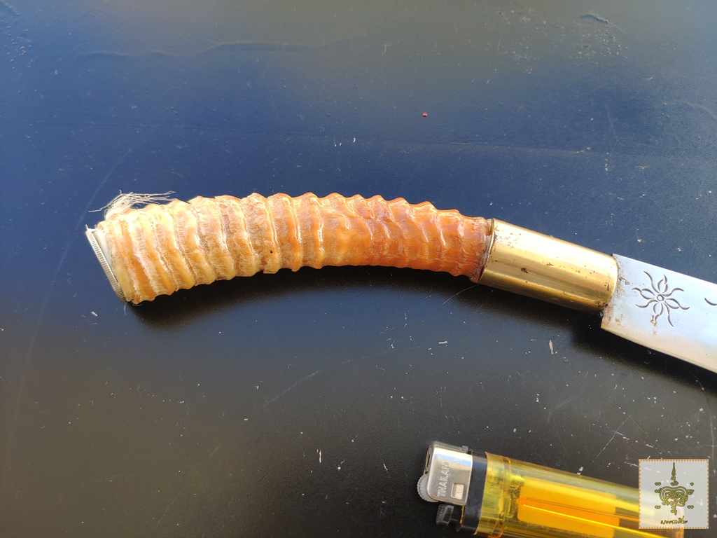 มีดเหน็บ ด้ามเขากาเซล