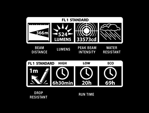 ไฟฉาย Maglite ML300L LED 2-Cell D Flashlight, Black USA