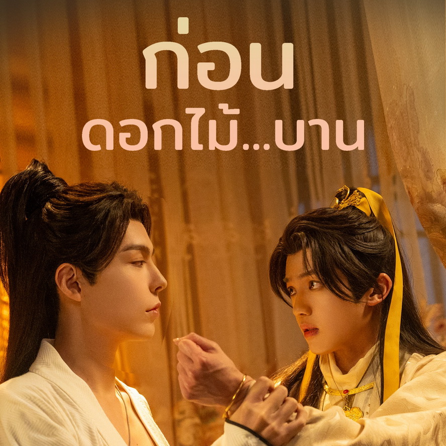 [จีนพากย์ไทย] ก่อนดอกไม้บาน Meet You at the Blossom DVD 2 แผ่น