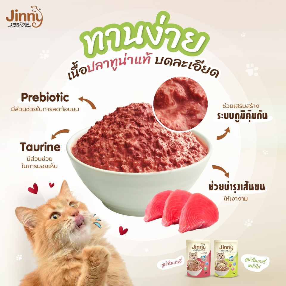 จินนี่ Jinny อาหารแมวเปียก ขนาด 70gx48