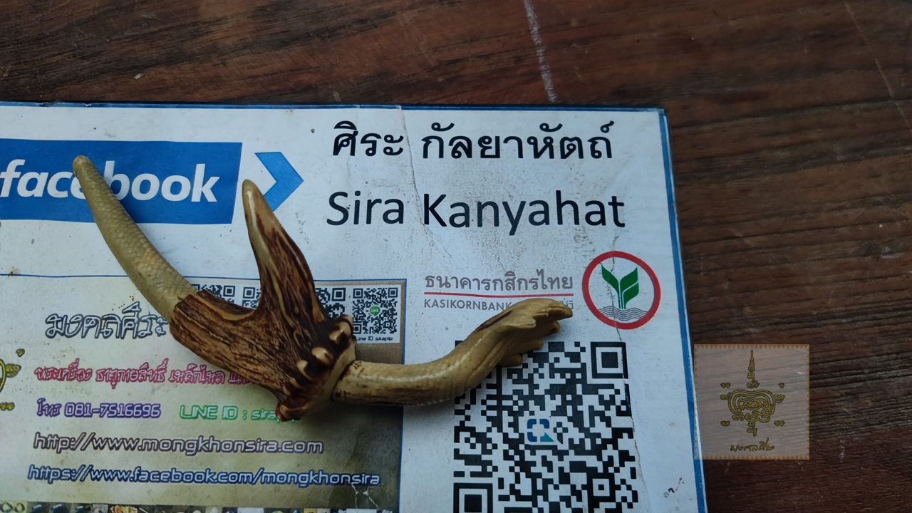 ไปป์ ทำจากเขาสัตว์