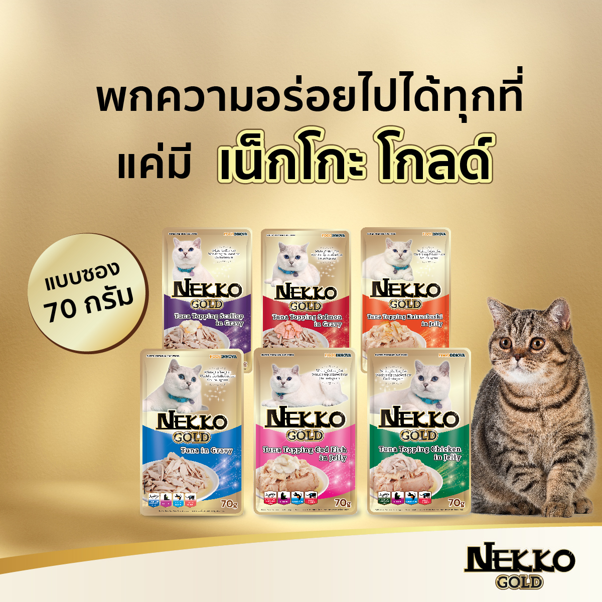 อาหารเปียกแมว Nekko Gold ผลิตจากปลาเนื้อขาว Human Grade ขนาด 70 X12g ยกโหล