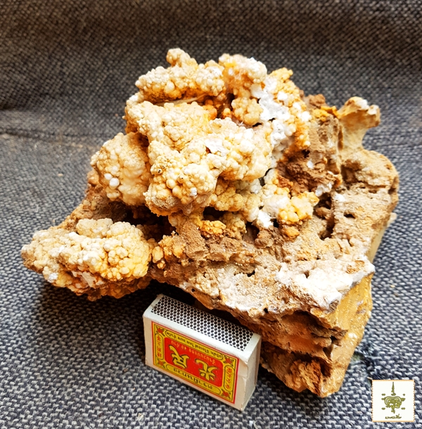 หินงอก หินย้อย ธรรมชาติ ก้อนใหญ่1