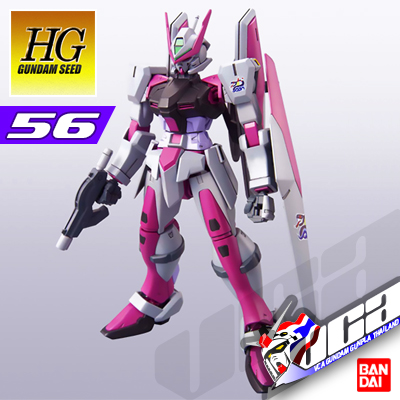 HG ARMS ASTRAY PMC CUSTOM