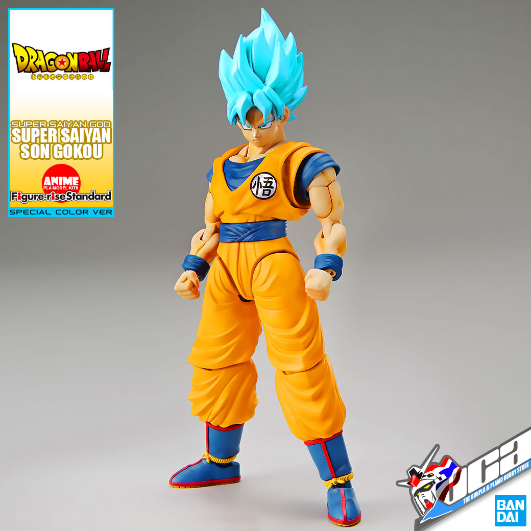 SUPER SAIYAN GOD SUPER SAIYAN SON GOKOU (SPECIAL COLOR)