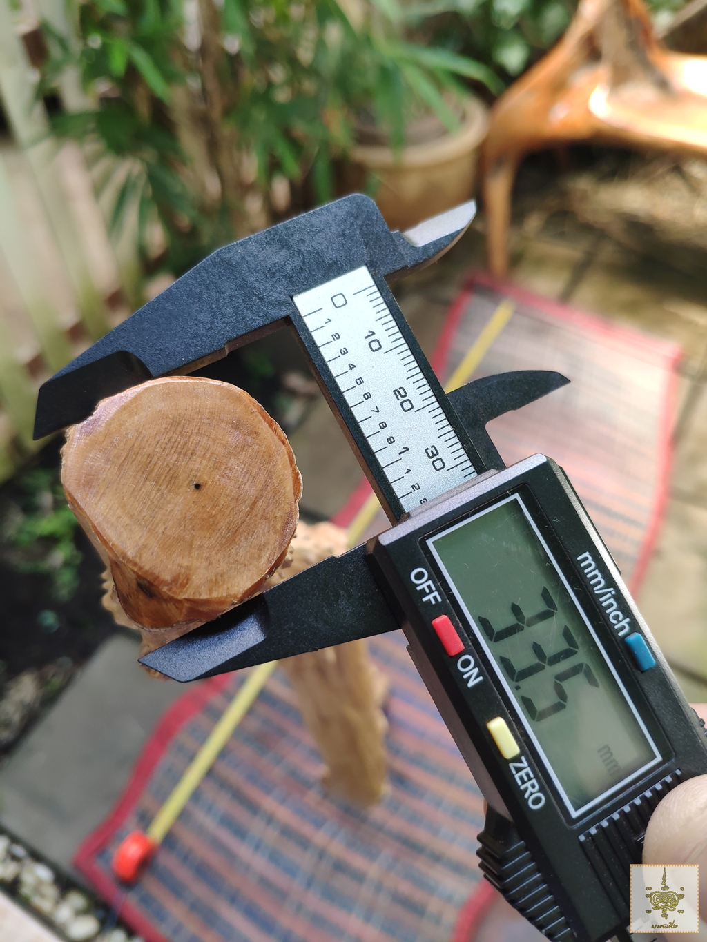 ไม้เท้า ไม้กระดูก