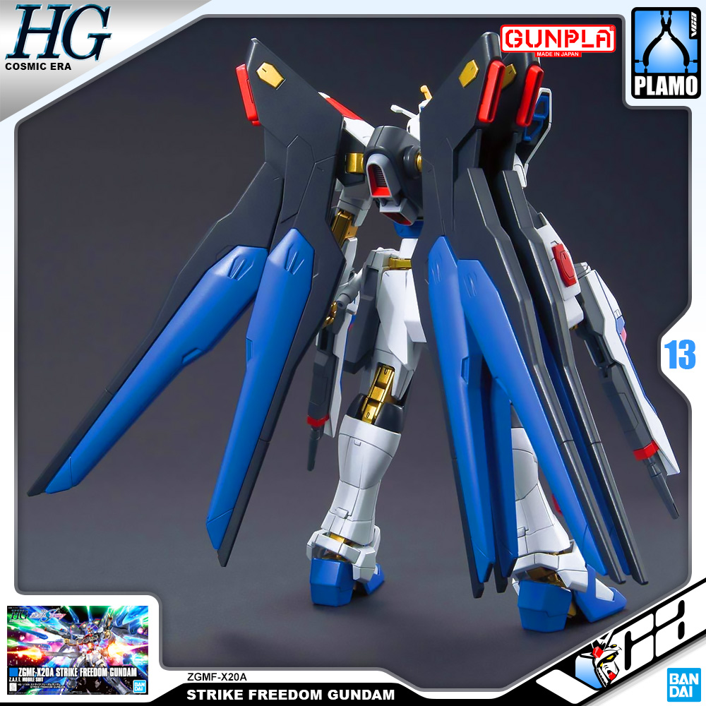 Bandai Gunpla High Grade HG ZGMF-X20A STRIKE FREEDOM GUNDAM
