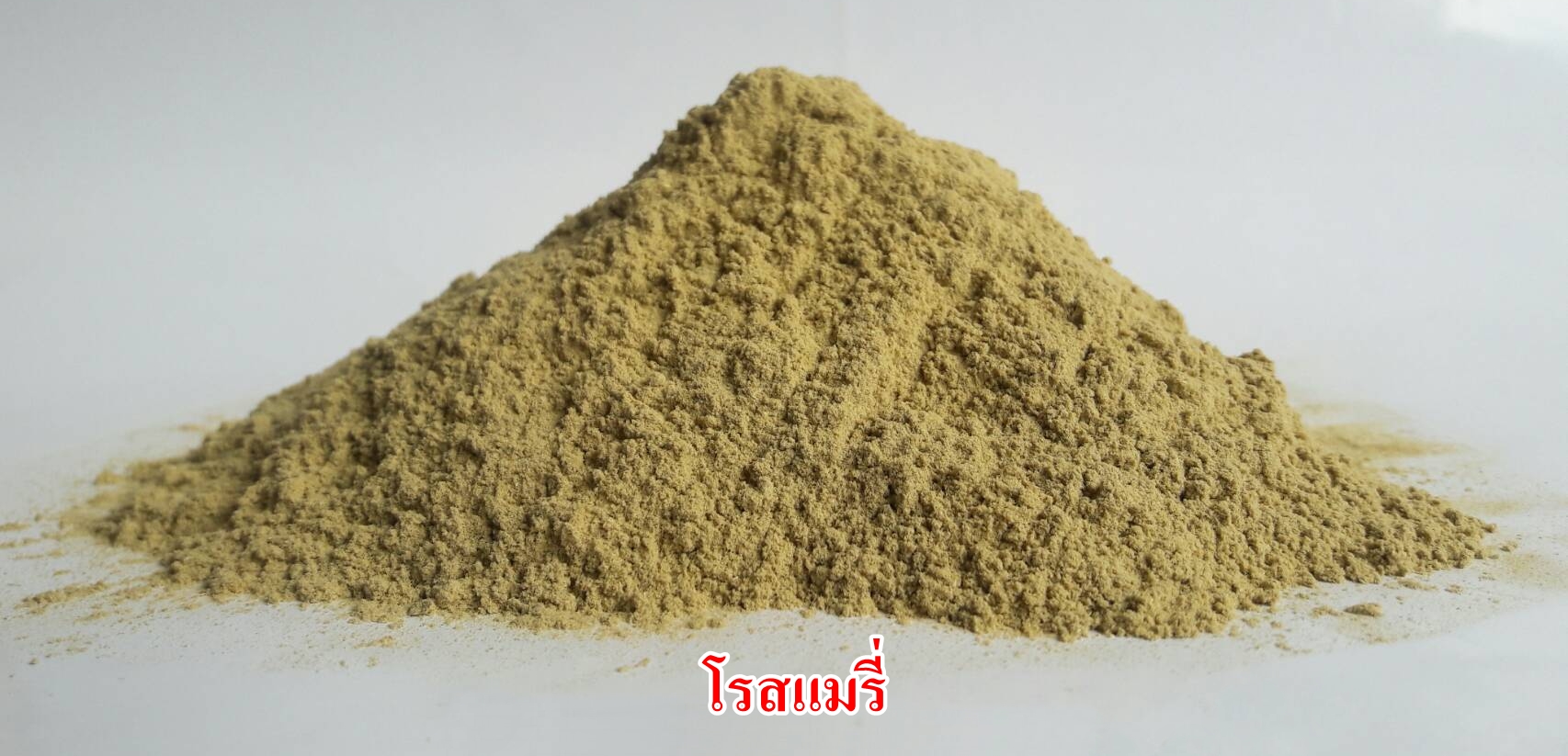ผงโรสแมรี่ 100% ( Rosemary powder )