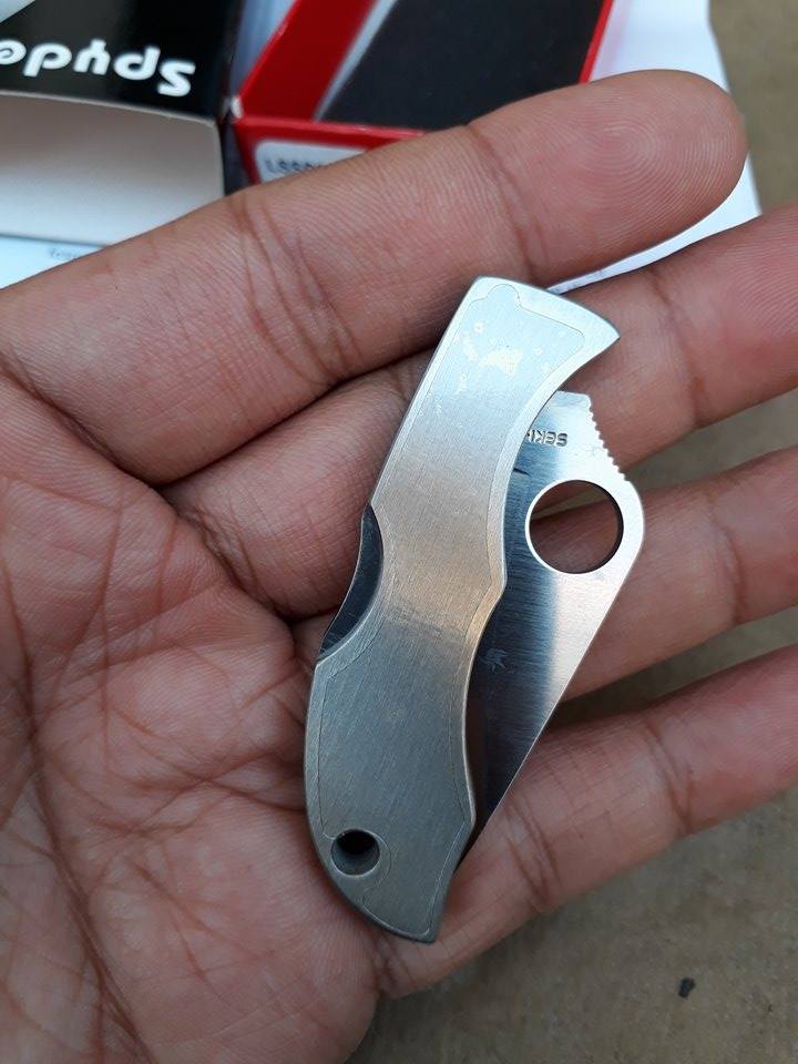 Spyderco Ladybug Tattoo Plain Edge Knife - LSSP3T