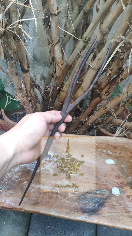 ฉมวกโบราญ