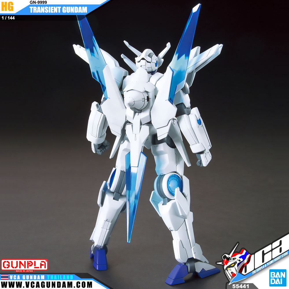 HG TRANSIENT GUNDAM ทรานเซียนท์ กันดั้ม