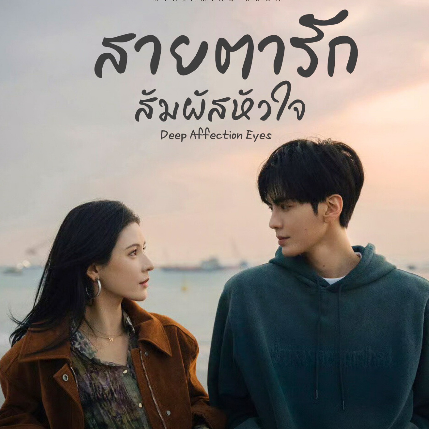 [จีนพากย์ไทย] สายตารัก สัมผัสหัวใจ Deep Affection Eyes DVD 5 แผ่น