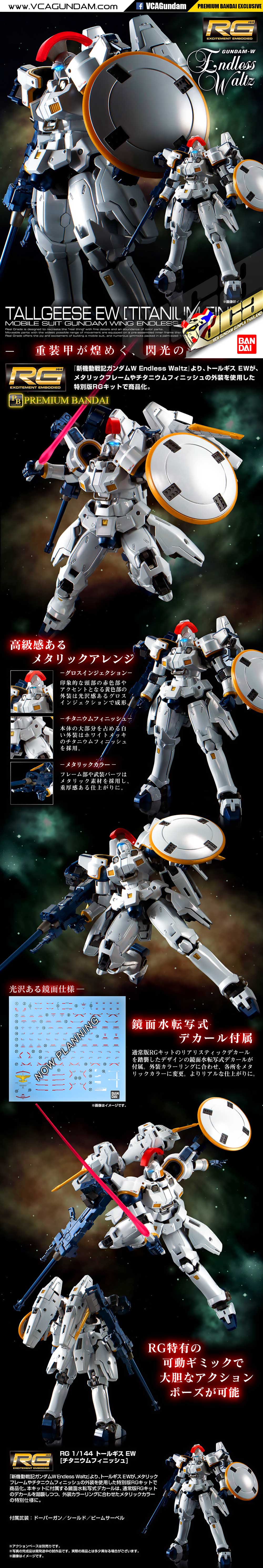 RG TALLGEESE EW (TITANIUM FINISH) ทอล กีซ