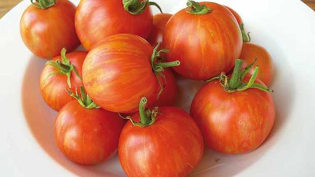 เมล็ดมะเขือเทศลายเสือ Tigerella tomato 20 เมล็ด