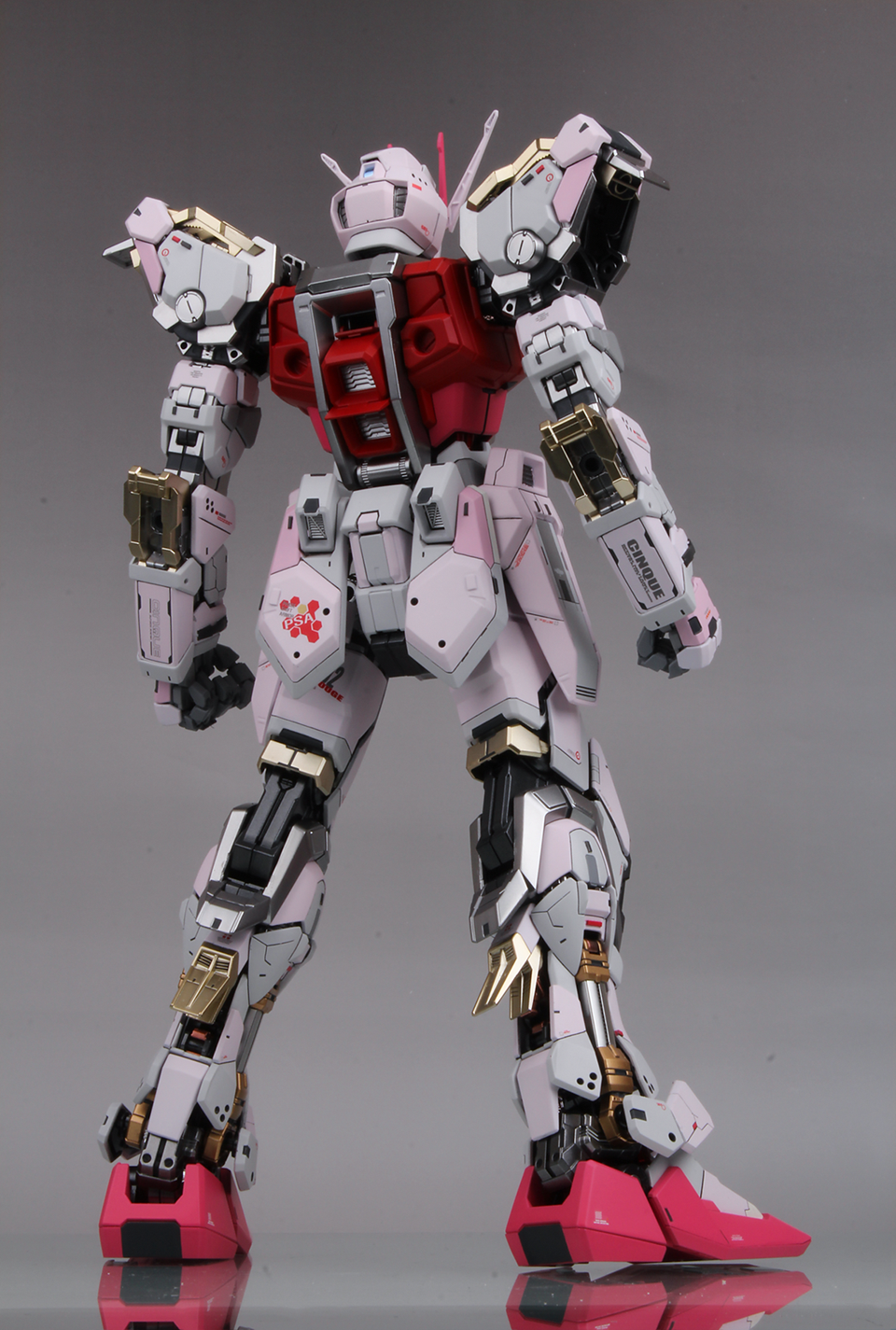 Painted Build : PG STRIKE ROUGE & SKYGRASPER by power03311