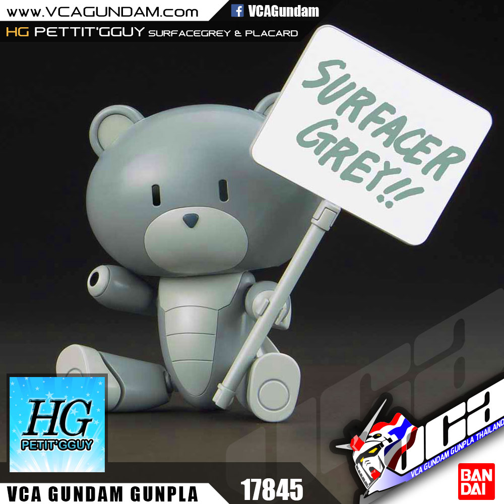 HG PETIT'GGUY SURFACEGREY & PLACARD