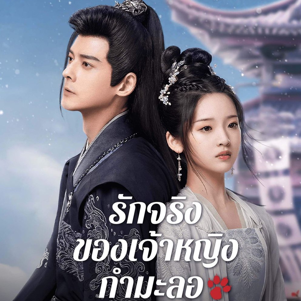 [จีนพากย์ไทย] รักจริงของเจ้าหญิงกำมะลอThe Substitute Princess Love DVD 3 แผ่น