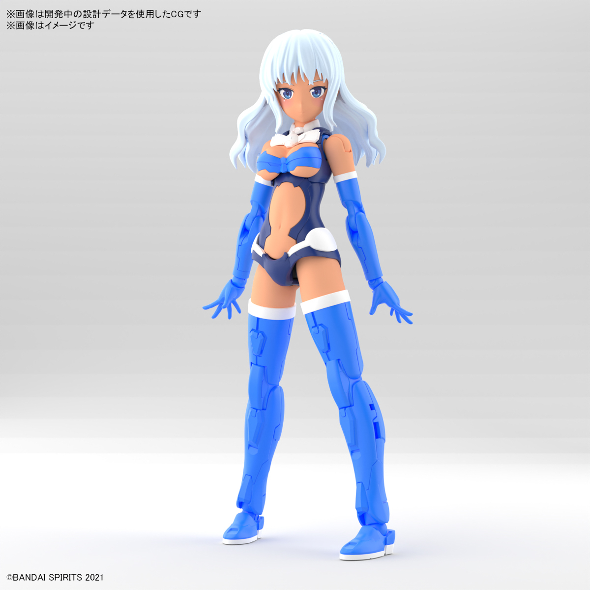 30MS SIS-AC19B SHIANA AMALCIA VIVACE FORM