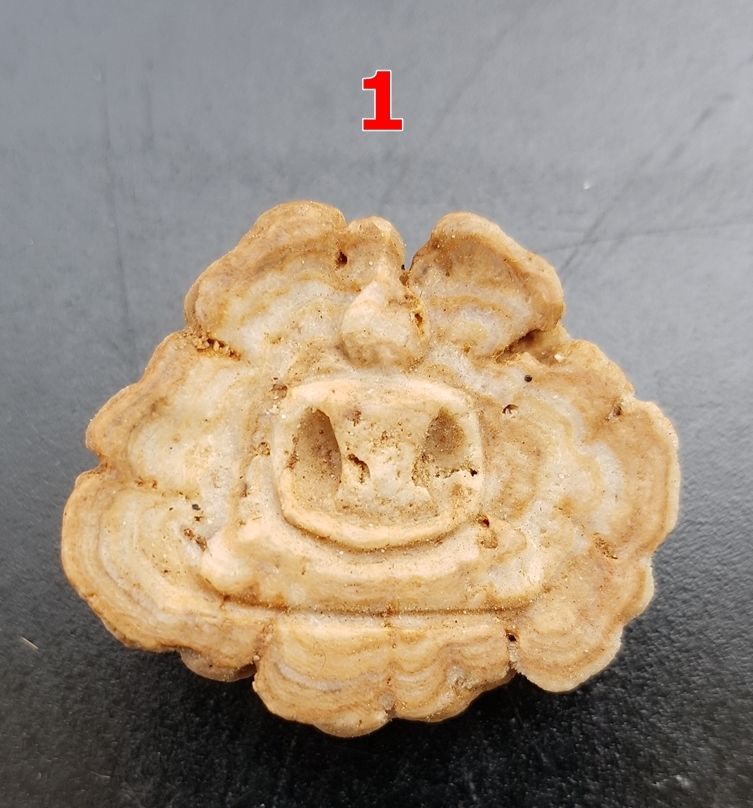 พระแกะสลัก จากเม็ดพระธาตุเขาสามร้อยยอด