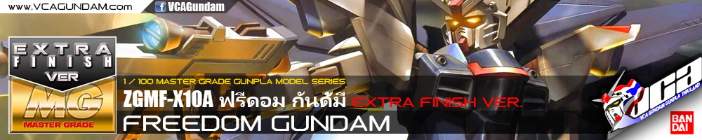 MG FREEDOM GUNDAM EXTRA FINISH VERSION ฟรีดอม กันดั้ม
