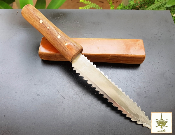 มีดฟันฉลาม