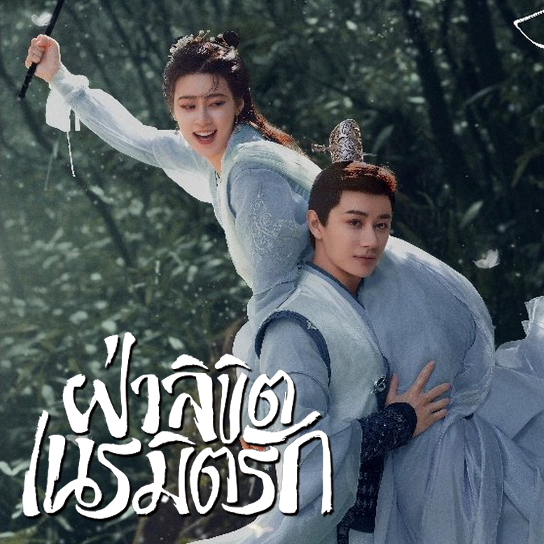 [จีนพากย์ไทย] ฝ่าลิขิตเนรมิตรัก General Well DVD 4 แผ่น