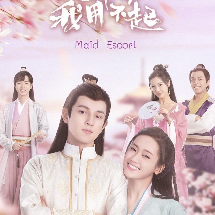 [จีนพากย์ไทย] รักวุ่นวายยัยสาวใช้สุดป่วน Maid Escort DVD 3 แผ่น