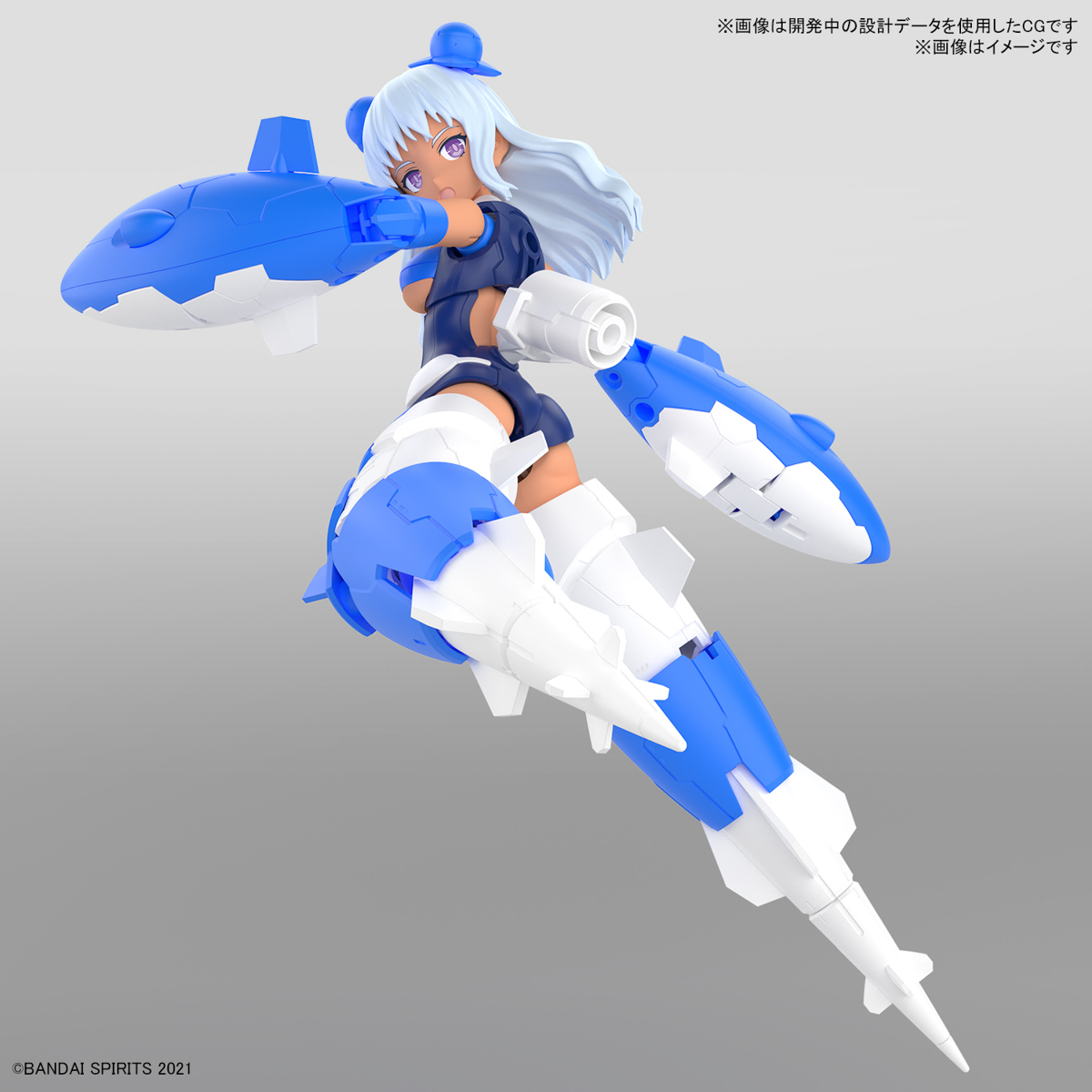 30MS SIS-AC19B SHIANA AMALCIA VIVACE FORM