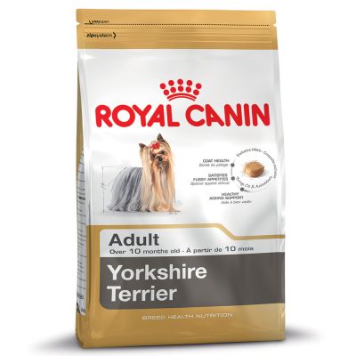ยอร์คไซร์ เทอร์เรีย Yorkshire Terrier