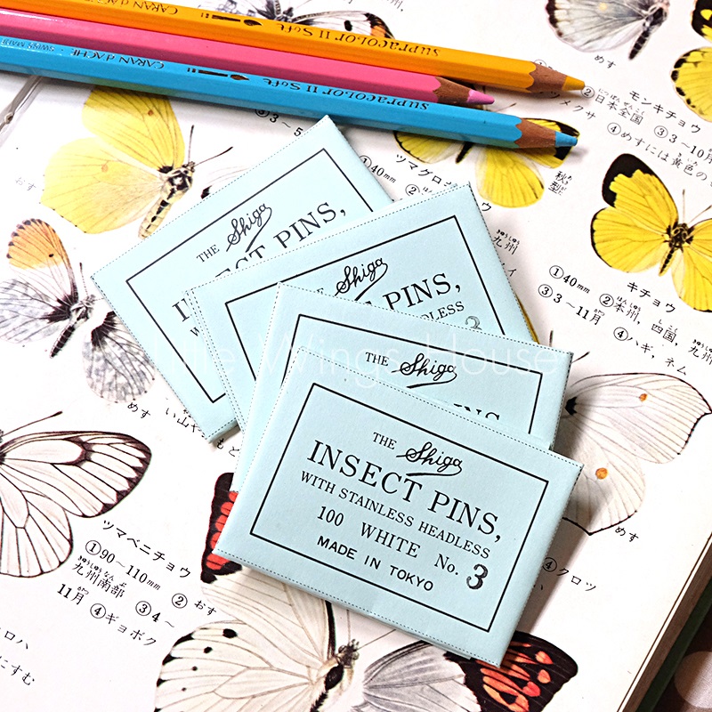 ++ เข็มเซ็ทแมลง/ผีเสื้อ แบบไม่มีหัว เบอร์ 3 บรรจุ 100 ชิ้น นำเข้าจากญี่ปุ่น ++ Insect Pin (Headless) Made in Japan
