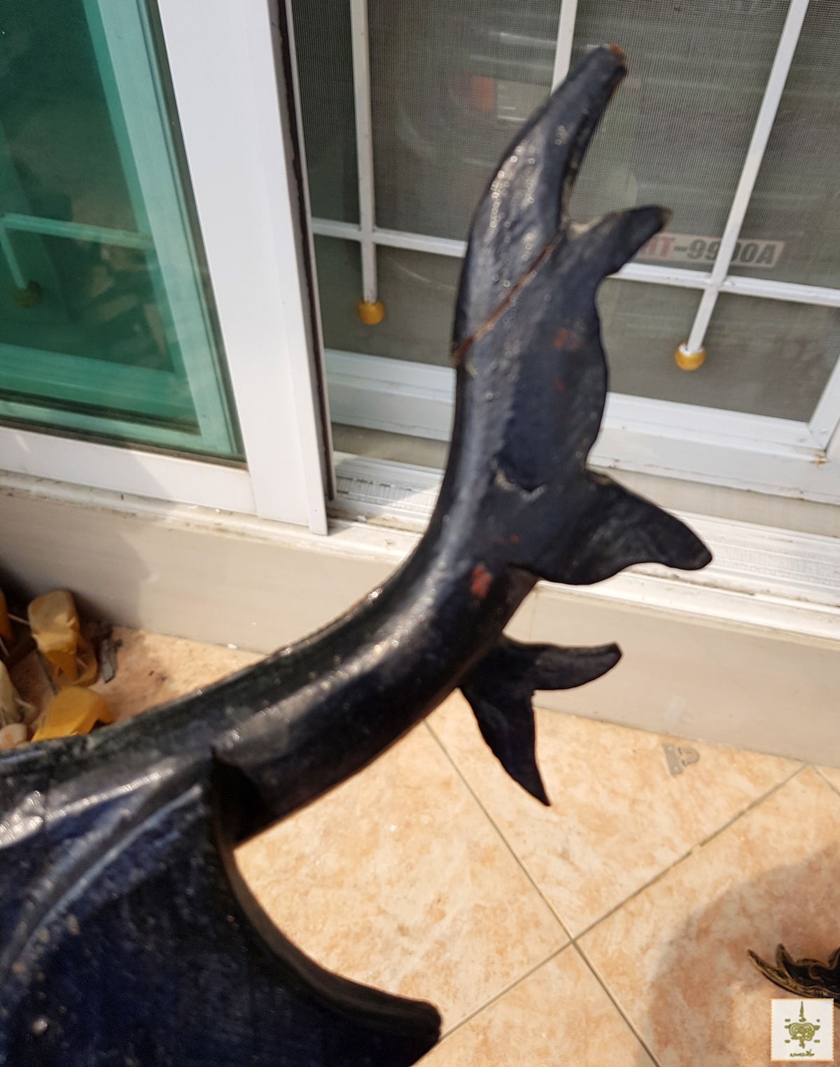 หงษ์คู่