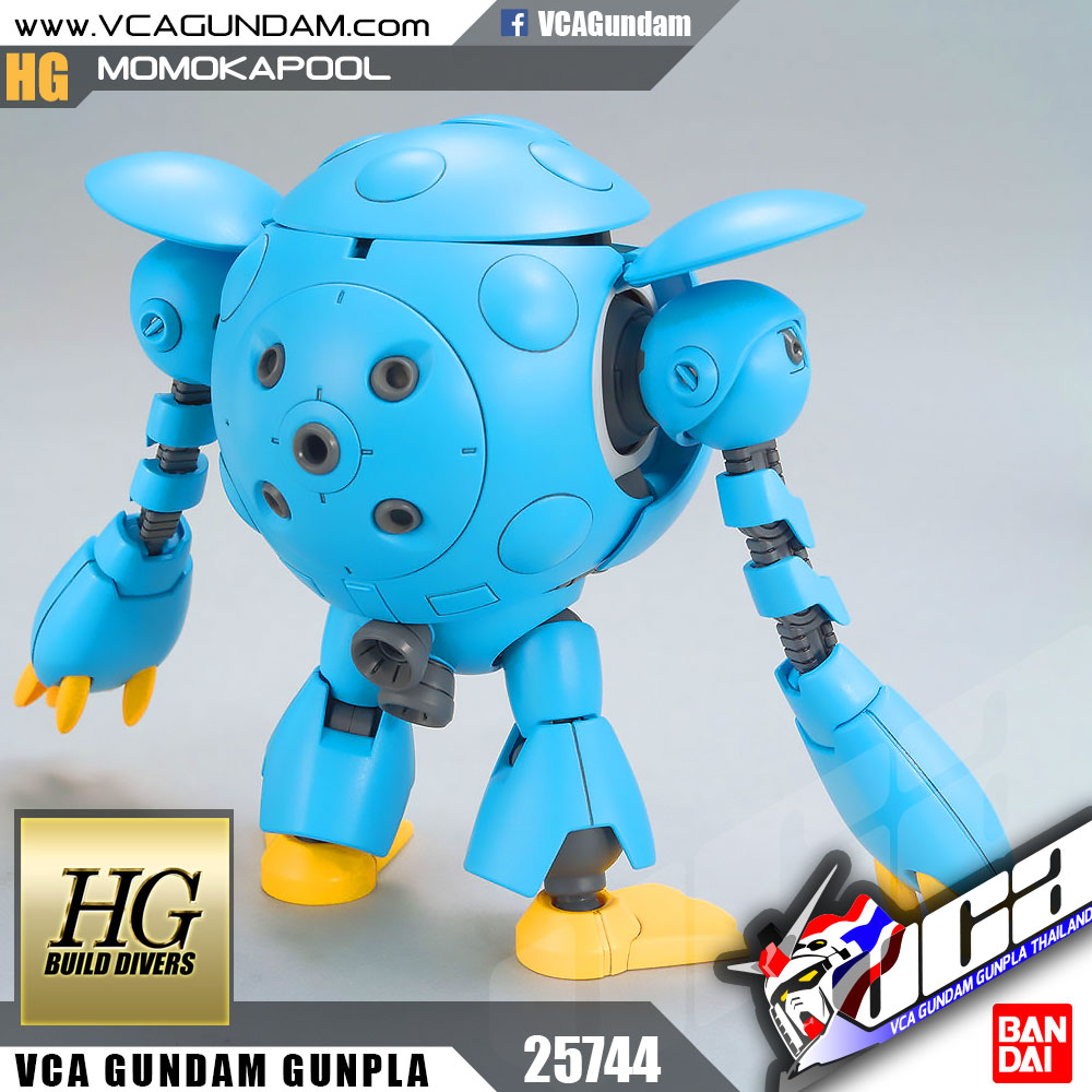 HG MOMOKAPOOL โมโมคาพูล