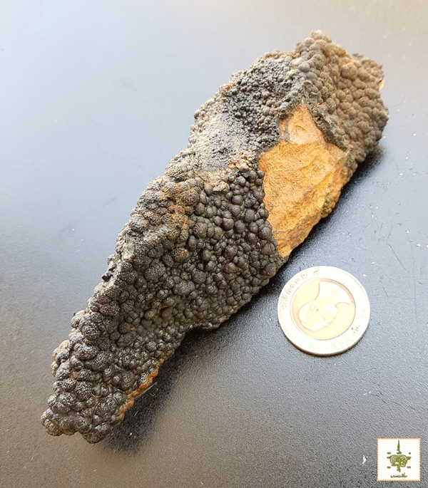 เหล็กไหลงอกเจ็ดสี เขาในปง ใหญ่