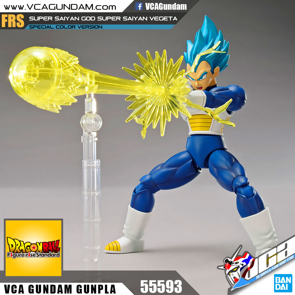 SUPER SAIYAN GOD SUPER SAIYAN VEGETA (SPECIAL COLOR)
