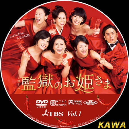 Kangoku no Ohimesama ซับไทย ซีรี่ย์ญี่ปุ่น (10 ตอนจบ) DVD 2 แผ่น