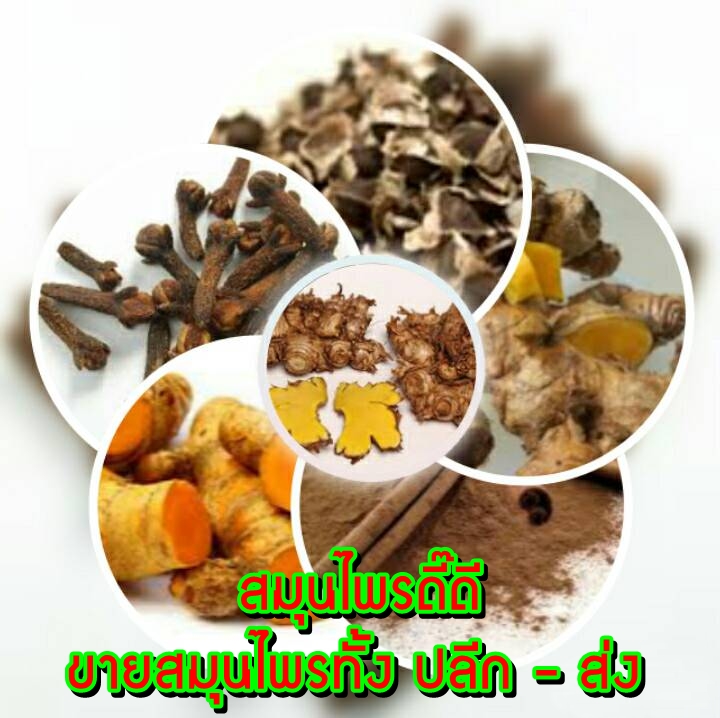 สมุนไพรดี๊ดี