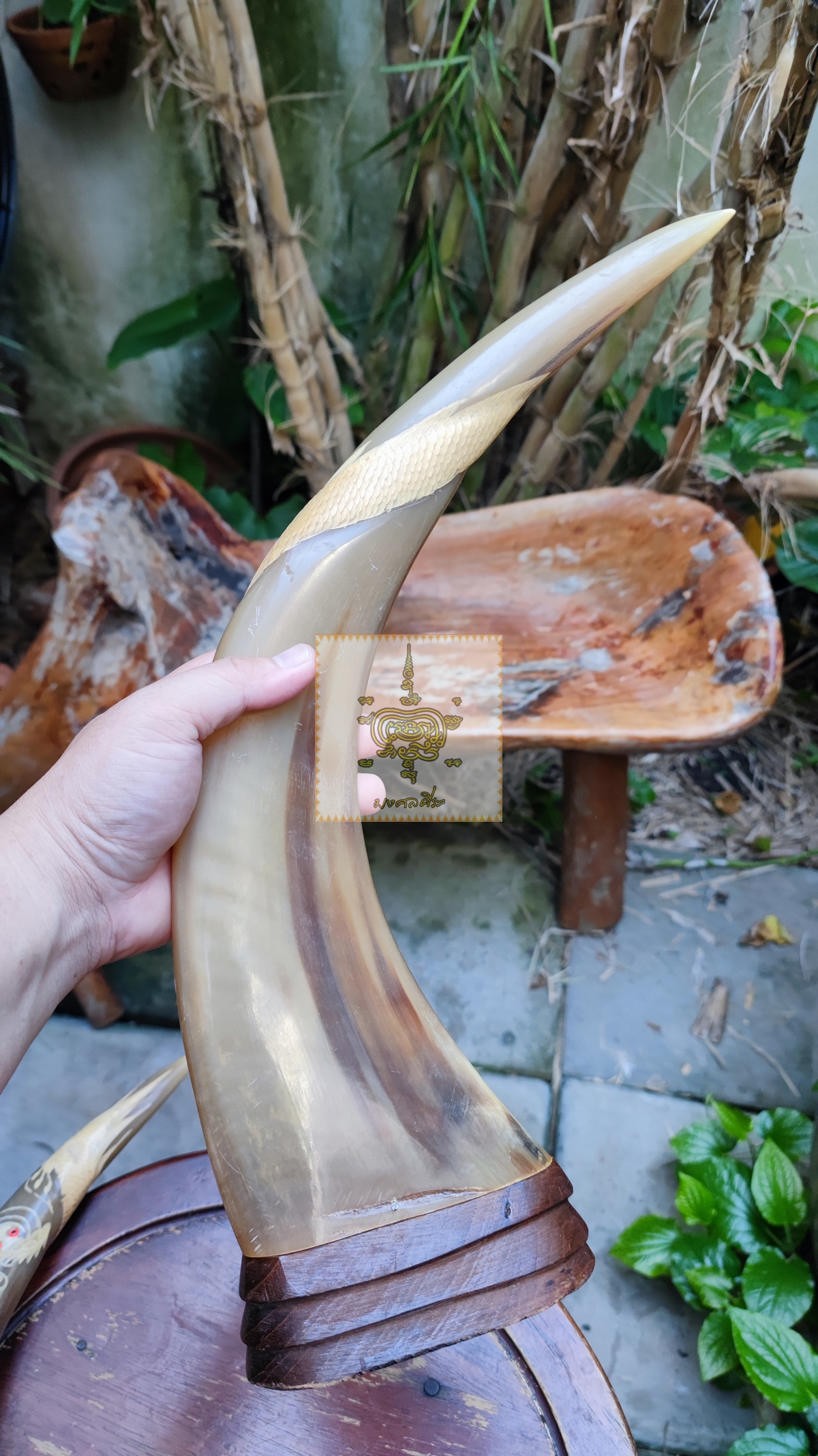 เขาควายเผือก 4