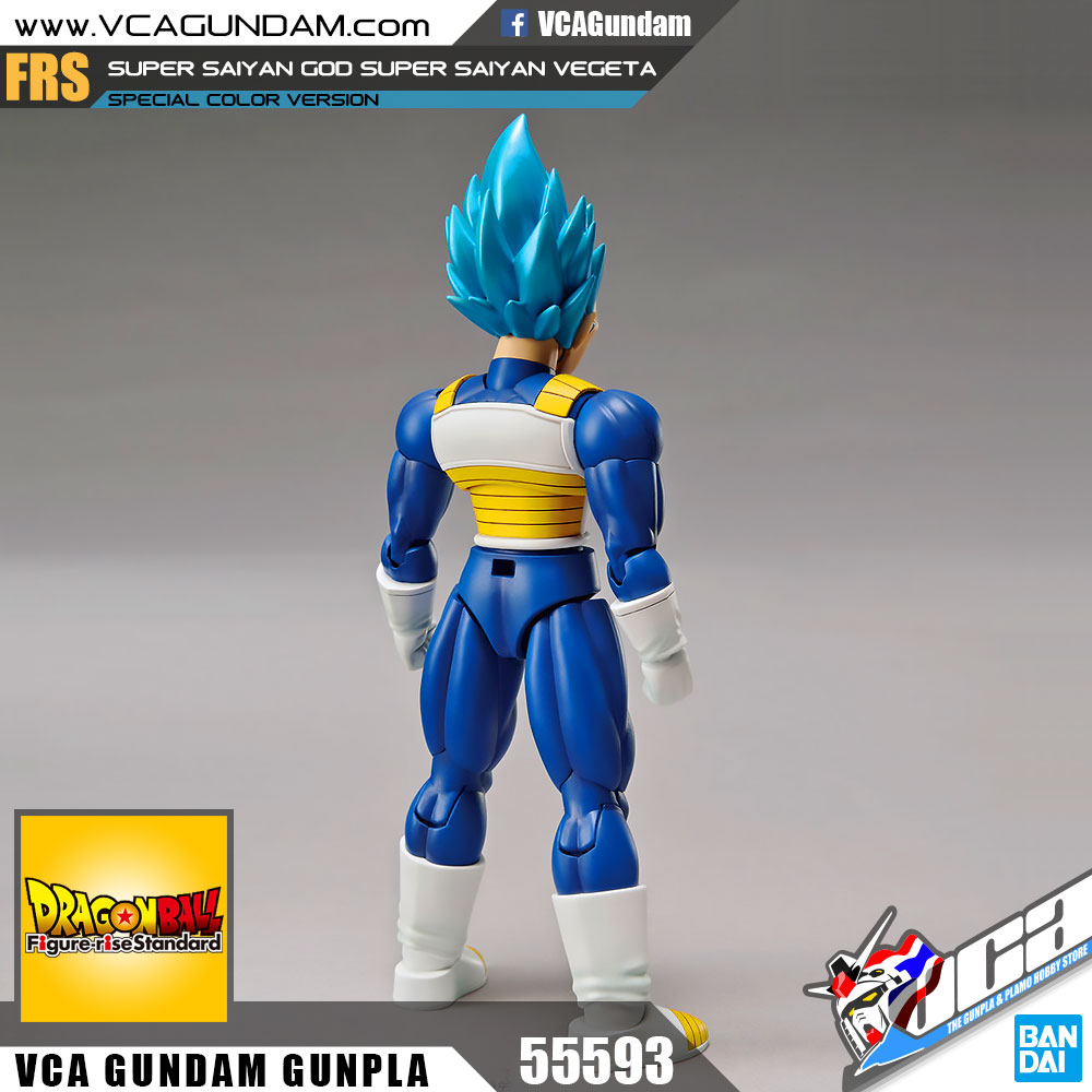 SUPER SAIYAN GOD SUPER SAIYAN VEGETA (SPECIAL COLOR)