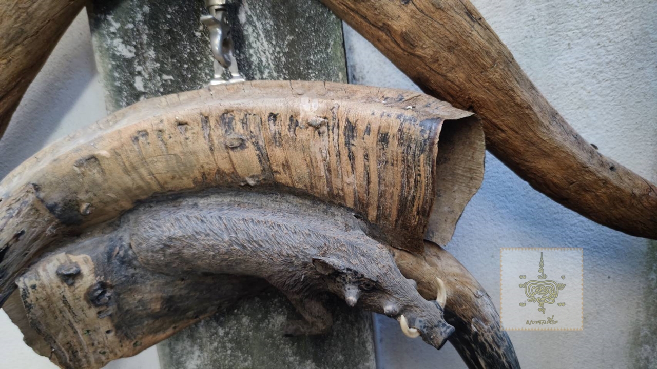 ไม้แกะสลักหมูป่า บนเขาควายคู่