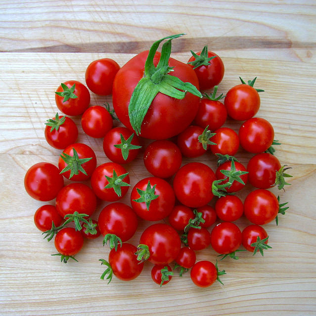 มะเขือเทศสวีทพีเคอเร้นท์ Sweet Pea Currant Tomato 50 เมล็ด