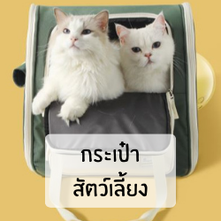 กระเป๋าใส่สัตว์เลี้ยง