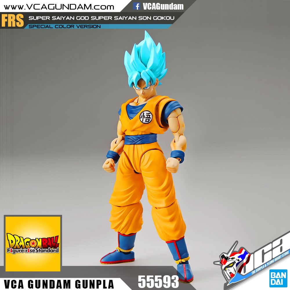 SUPER SAIYAN GOD SUPER SAIYAN SON GOKOU (SPECIAL COLOR)