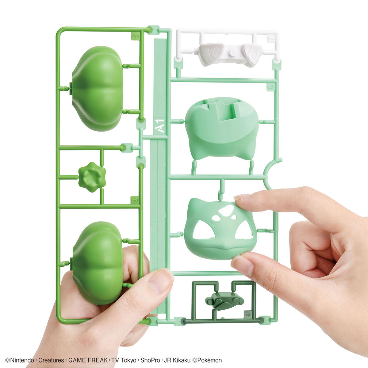 Pokemon Plamo Collection QUICK! 13 BULBASAUR