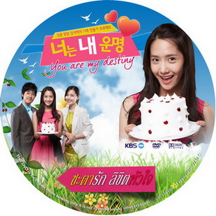 ชะตารักลิขิตหัวใจ You Are My Destiny เกาหลี พากย์ไทย (จบ) V2D 18 แผ่น