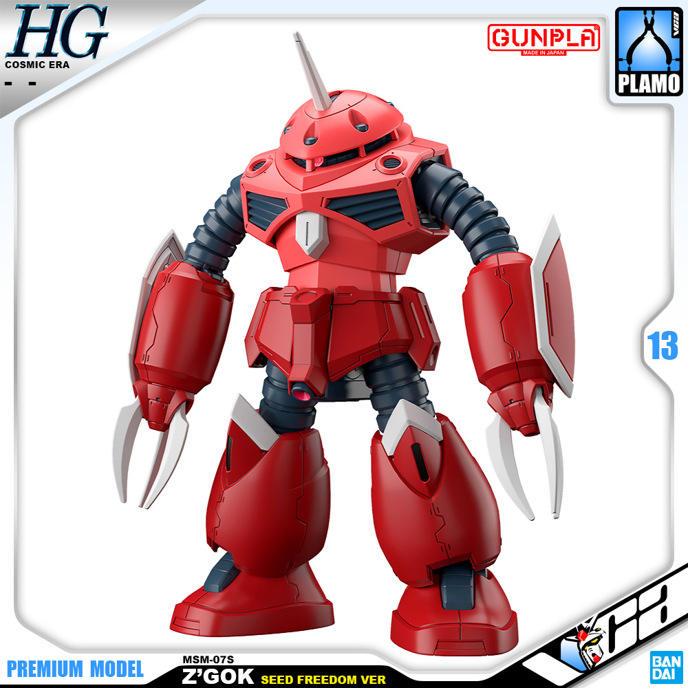 HG Z'GOK (SEED FREEDOM VER)
