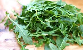 เมล็ดผักสลัด Arugula Rocket