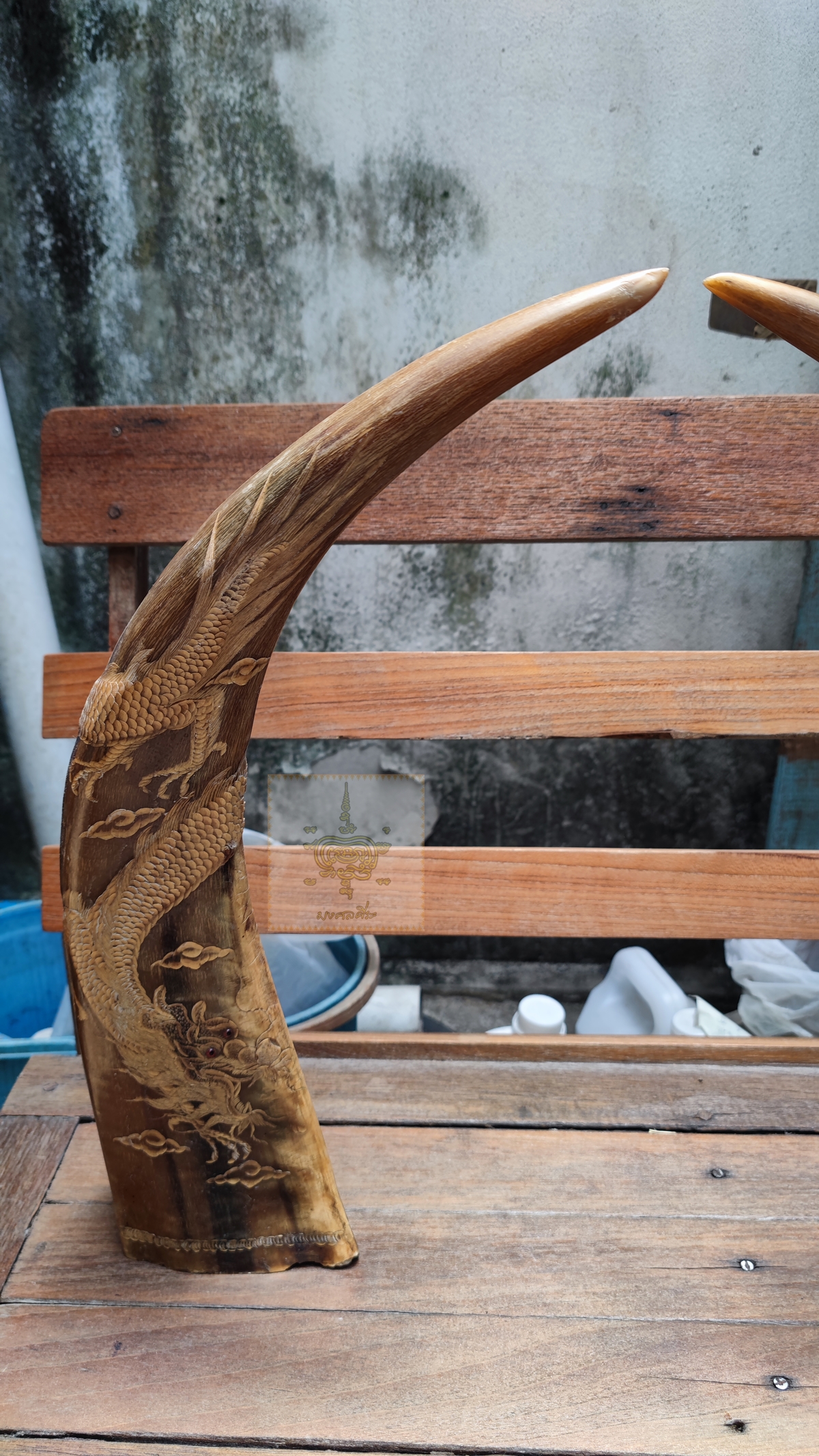 เขาควายเผือก 8