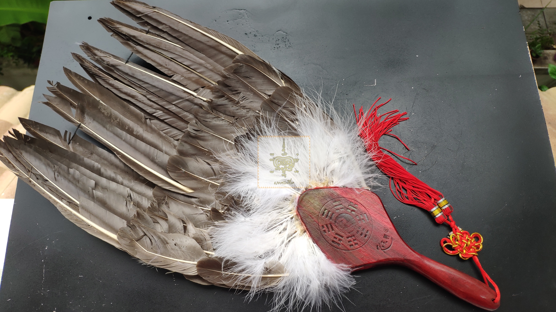 พัดขนนก